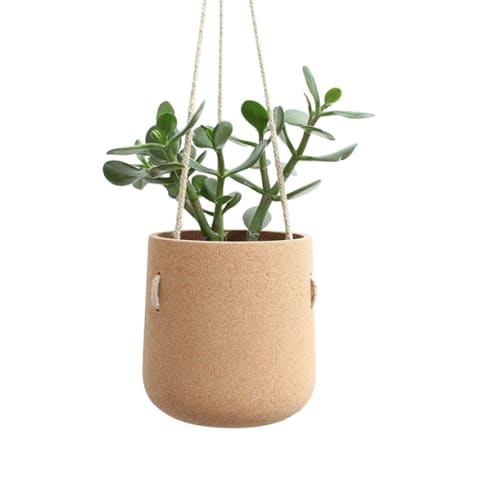 cork hanging planter with houseplant