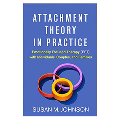 Cover of Attachment Theory in Practice
