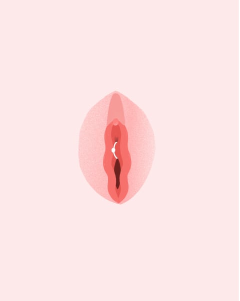 Illustration of a Princess Albertina piercing.