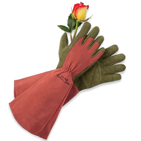 red gardening gloves holding a rose