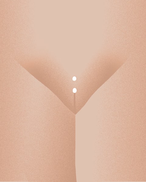 Illustration of a Christina piercing. 