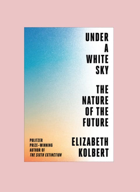 Under a White Sky book cover
