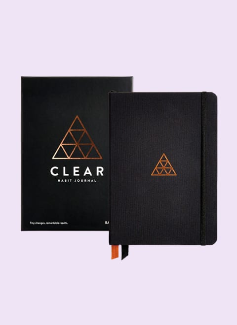 baron fig clear journal