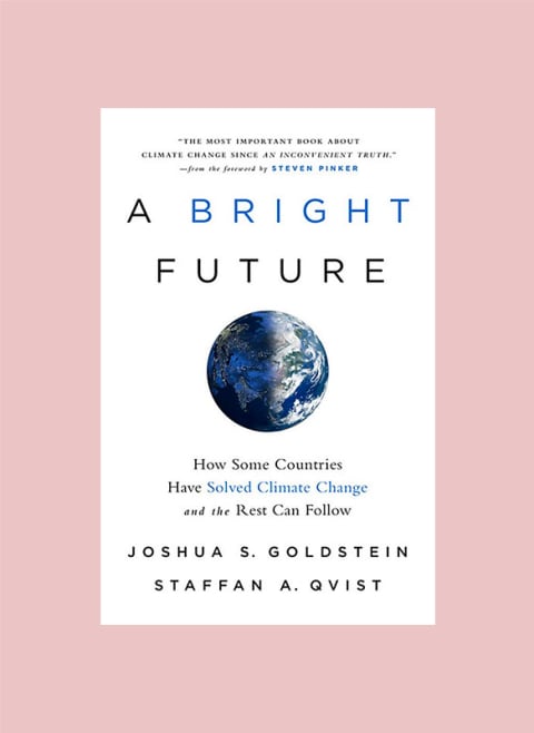 A Bright Future book cover