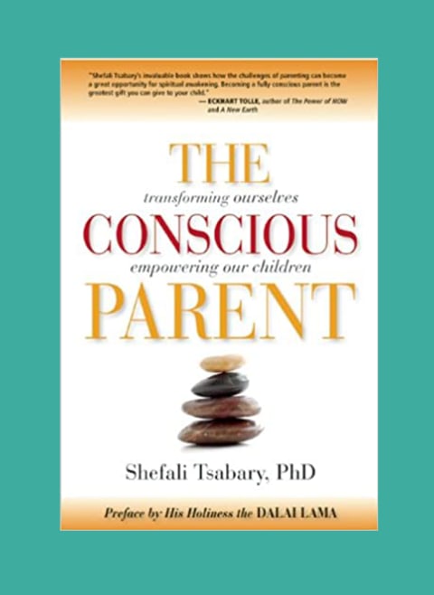 The conscious parent