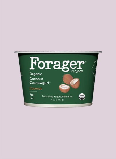 Forager Project Organic Cashewgurt