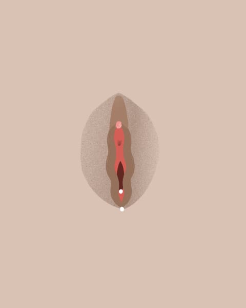 Illustration of a fourchette piercing.