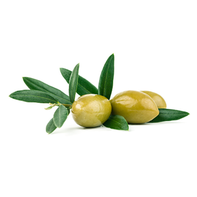 Green Olives Green Olives