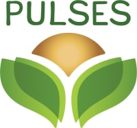 Pulses