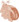 My Pantry by Alice Waters