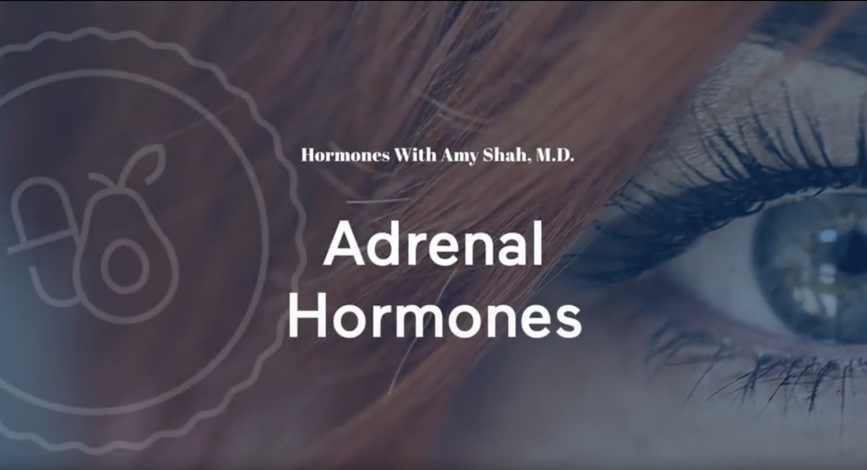 Adrenal Hormones with Amy Shah, M.D.
