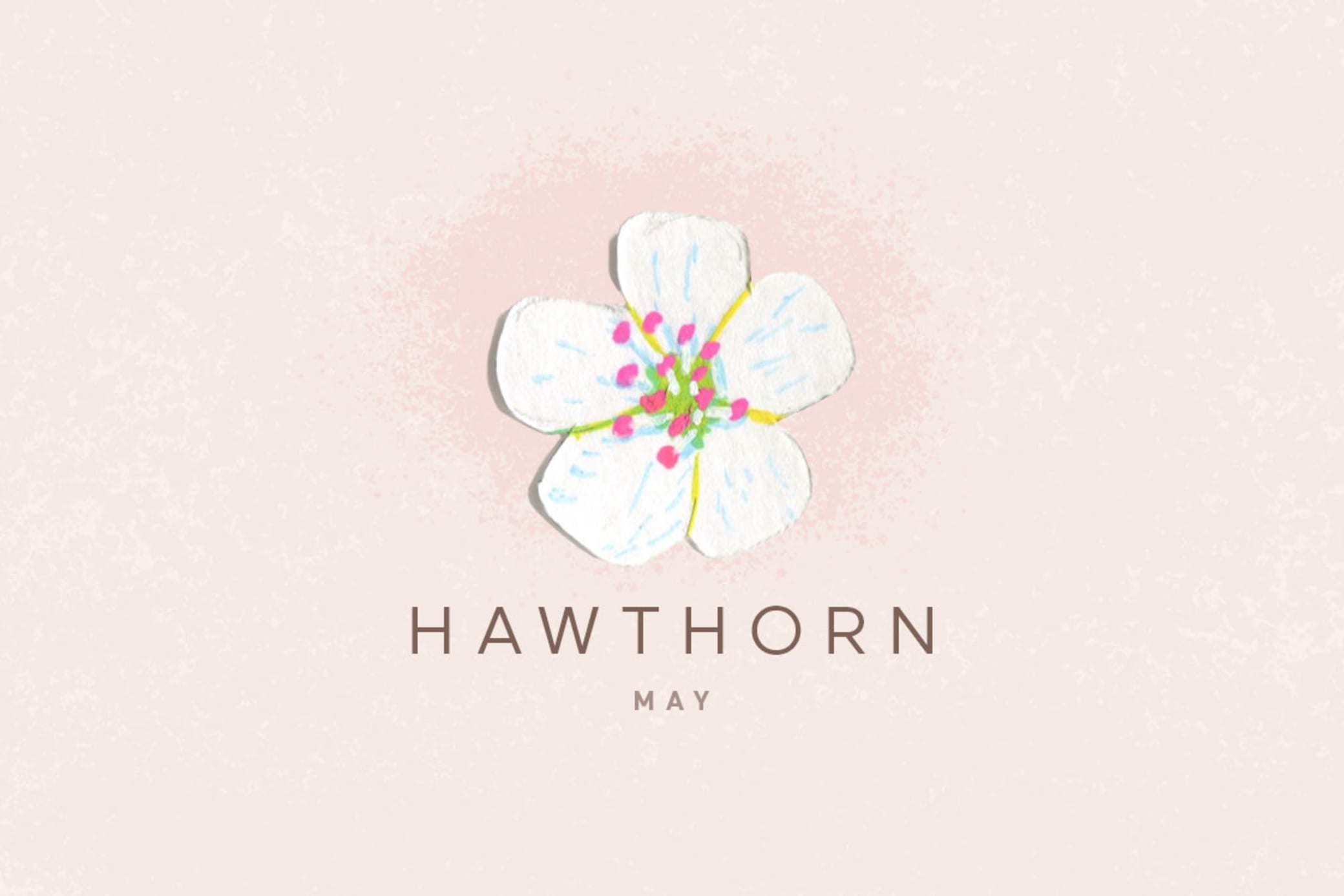 may birth month flower