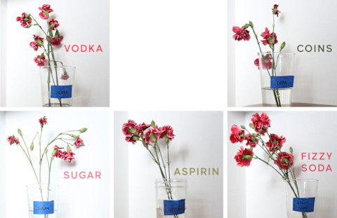 five small bouquets of flowers five small bouquets of flowers