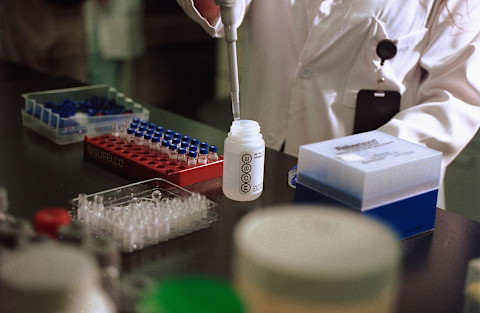 ROSE lab testing process ROSE lab testing process