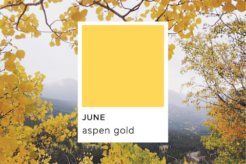 Pantone Aspen Gold Pantone Aspen Gold