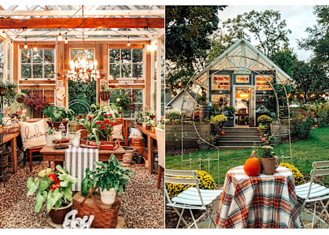 greenhouse in fall 