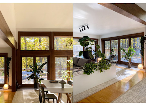 images of bright dining area and living room with plants