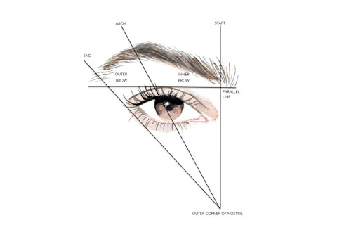 Brow Mapping image 