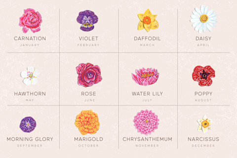 grid of birth month flowers grid of birth month flowers