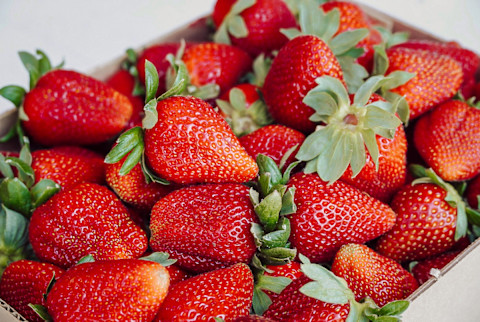 Batch of Fresh Strawberries Batch of Fresh Strawberries