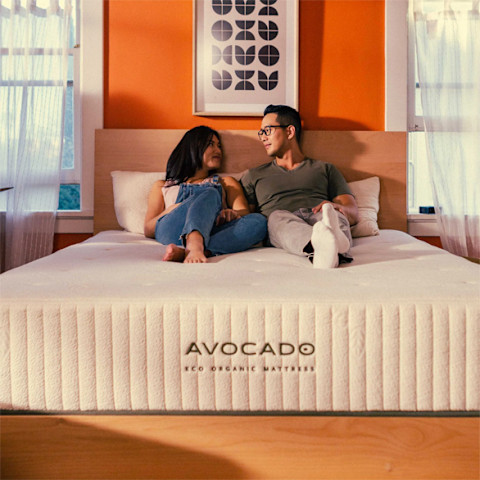 avocado vs birch - Avocado eco organic mattress