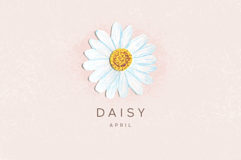illustration of daisy flower illustration of daisy flower