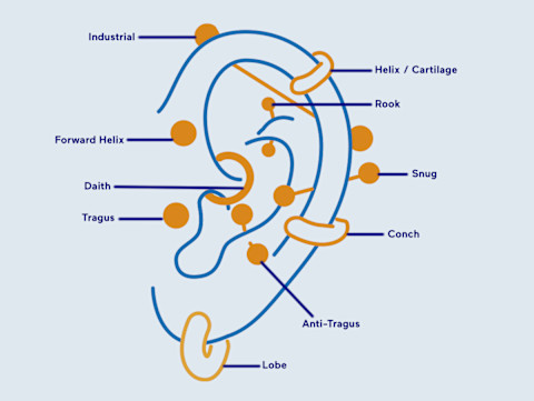 types of ear piercings types of ear piercings
