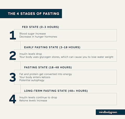 chart demonstrating the stages of fasting chart demonstrating the stages of fasting