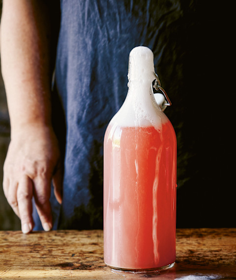 Sourdough Fizz Recipe Sourdough Fizz Recipe