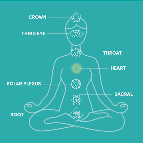 The 7 Chakras for Beginners The 7 Chakras for Beginners