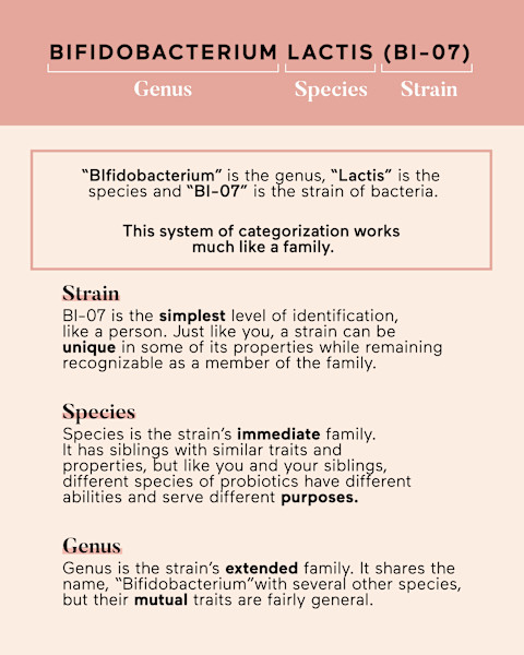Probiotic strain naming system Probiotic strain naming system