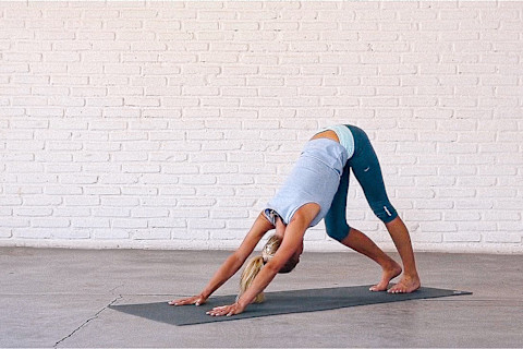 Peddling Out Downward Dog Peddling Out Downward Dog