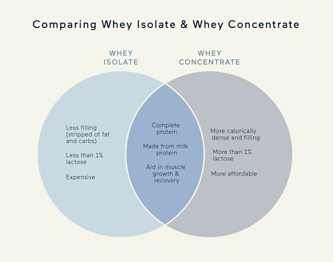 whey isolate vs concentrate venn diagram 