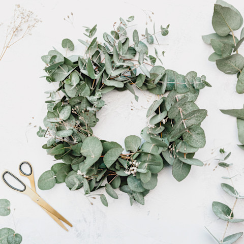 Eucalyptus Wreath Eucalyptus Wreath
