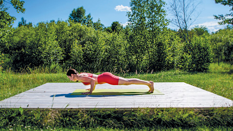 Four-Limbed Staff Pose (Chaturanga Dandasana) Four-Limbed Staff Pose (Chaturanga Dandasana)