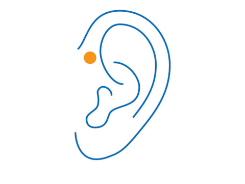 forward helix piercing forward helix piercing