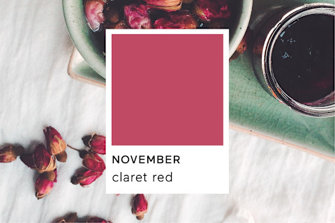 Pantone Claret Red Pantone Claret Red