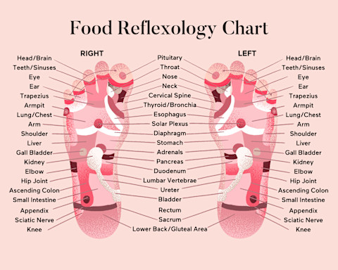 Foot reflexology chart with pressure points labeled