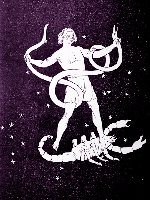 Ophiuchus Ophiuchus
