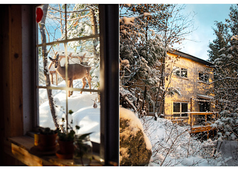 snow-covered cabin and view of deer out the window snow-covered cabin and view of deer out the window