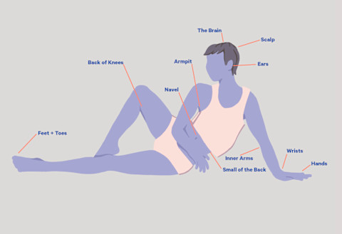 A diagram of various erogenous zones. A diagram of various erogenous zones.