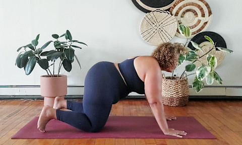 yoga cow pose warm up yoga cow pose warm up