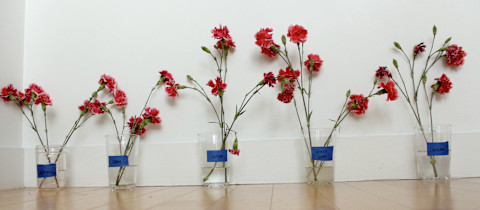 five flower bouquets in a row five flower bouquets in a row