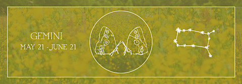 Gemini zodiac sign Gemini zodiac sign