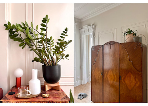 detail shots of intentionally curated brooklyn apartment