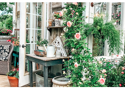 exterior of greenhouse surrounded in greenery