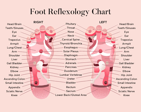 Foot reflexology chart with pressure points labeled Foot reflexology chart with pressure points labeled