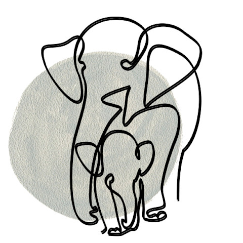 elephant illustration