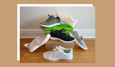 cariuma vs allbirds
