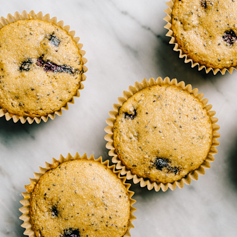 Overhead of Healthy Berry Chia Muffin Overhead of Healthy Berry Chia Muffin